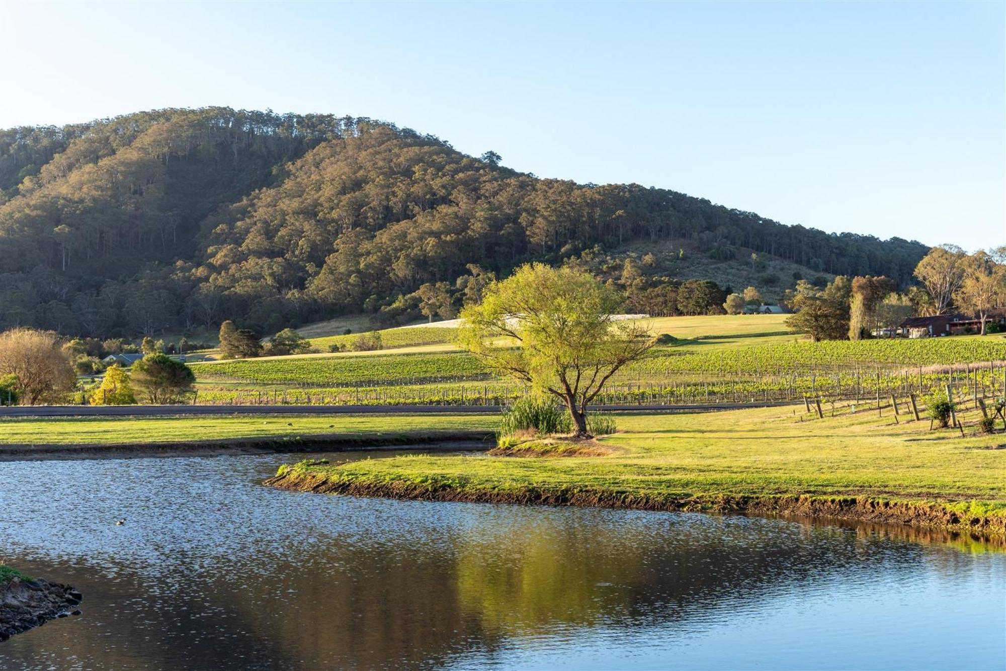 Coolangatta Estate Shoalhaven Heads Motell Exteriör bild