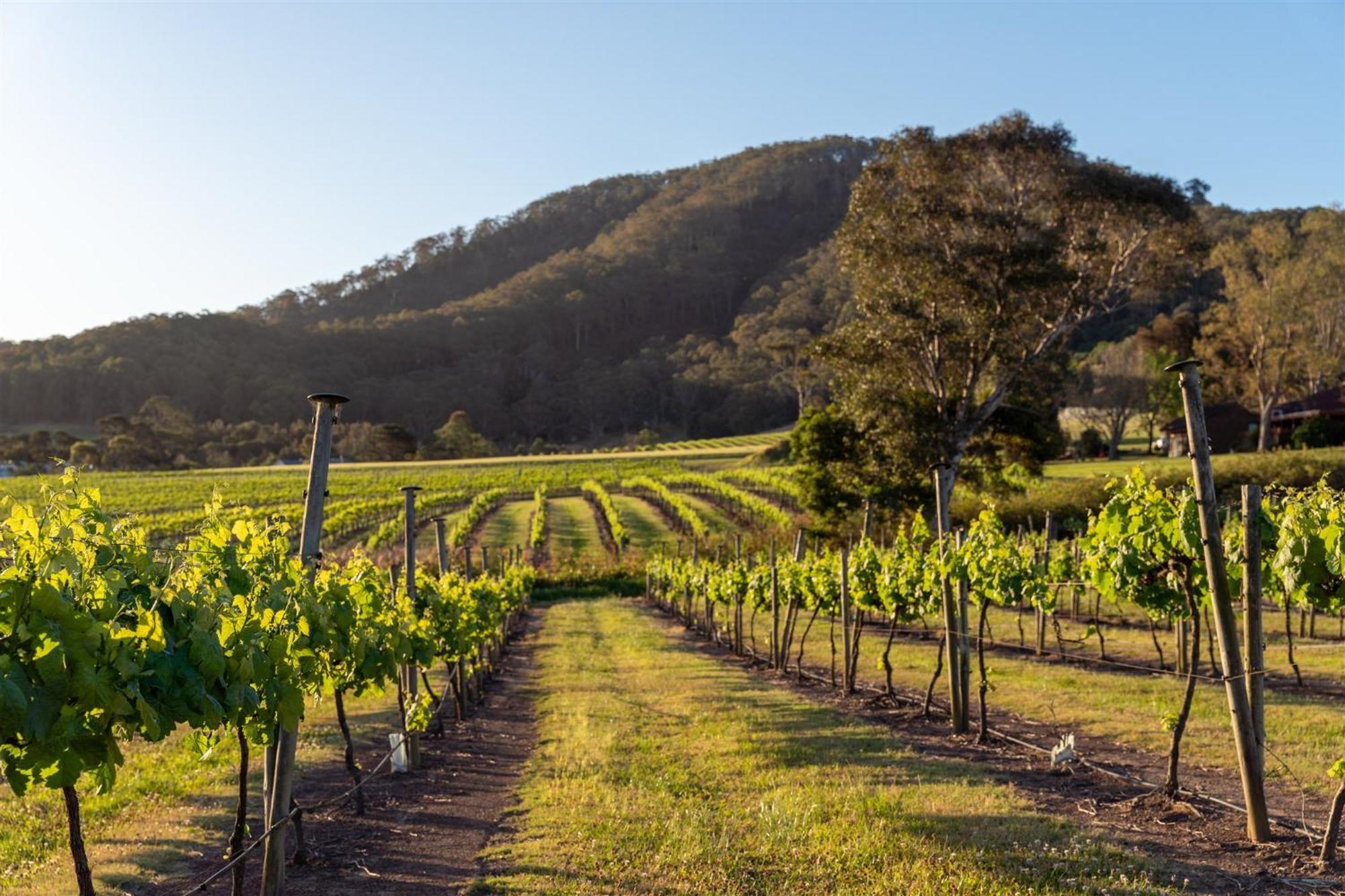 Coolangatta Estate Shoalhaven Heads Motell Exteriör bild