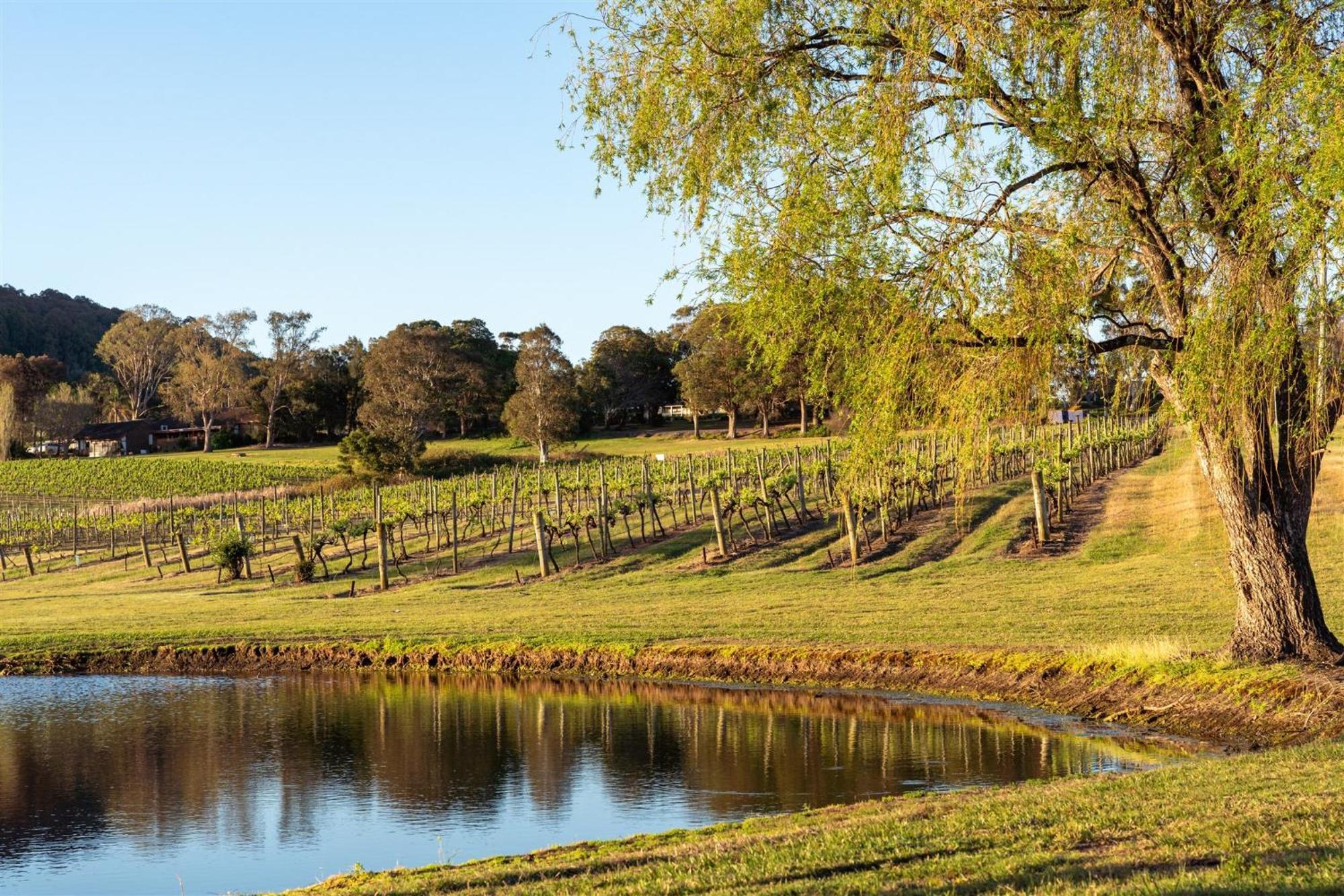 Coolangatta Estate Shoalhaven Heads Motell Exteriör bild