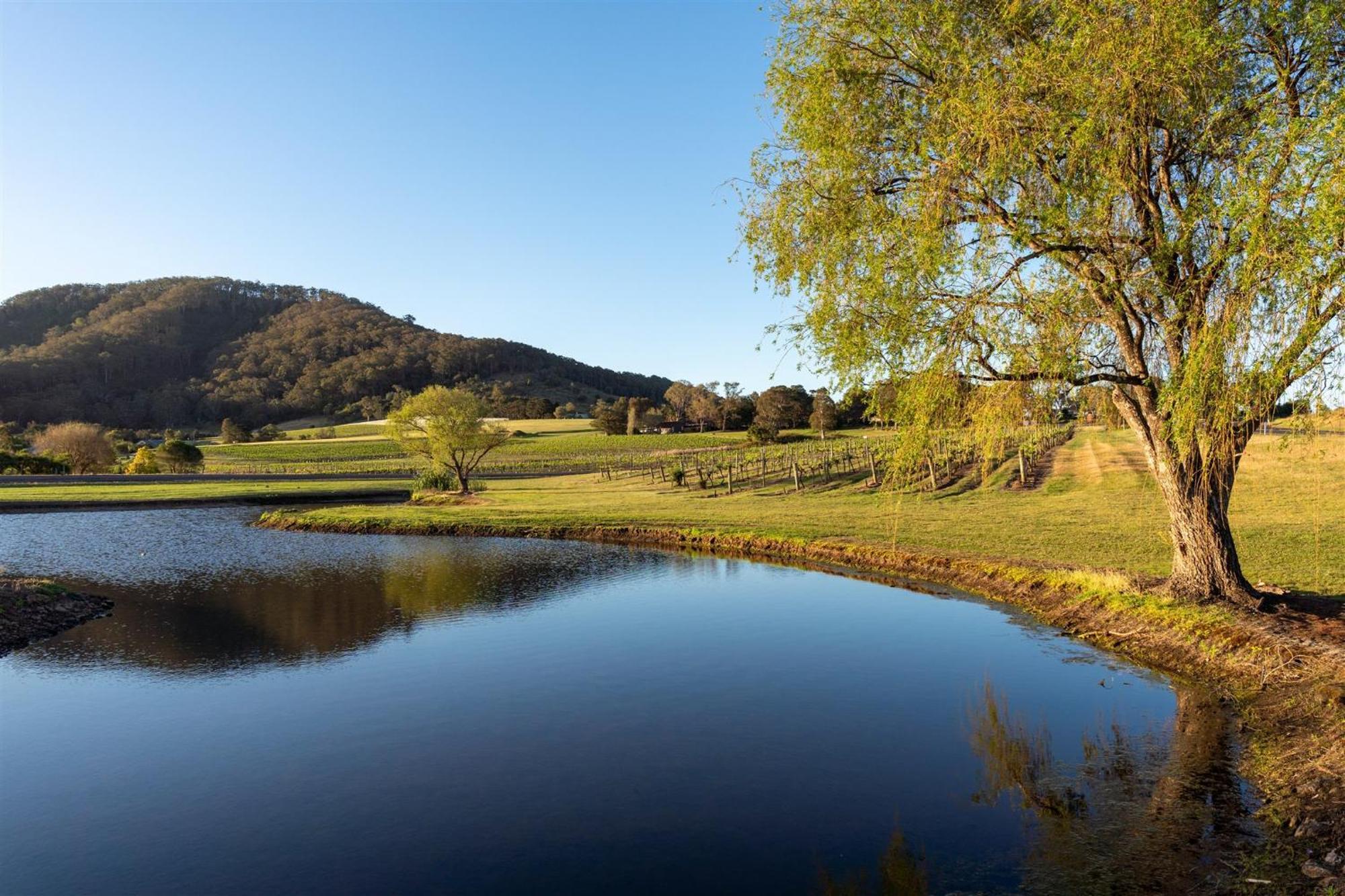 Coolangatta Estate Shoalhaven Heads Motell Exteriör bild